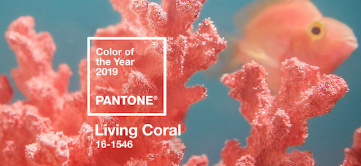 Living Coral -- Pantone's Color of the Year 2019